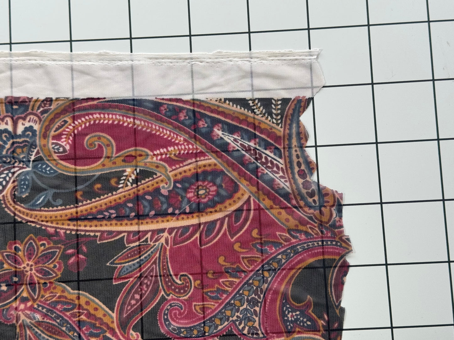 Paisley Print Stretch Mesh Fabric